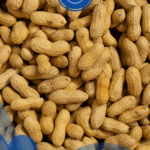 فول سوداني بالقشر